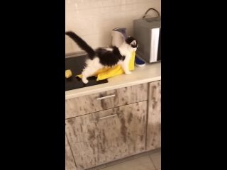 mom's helper started cleaning under the sofa