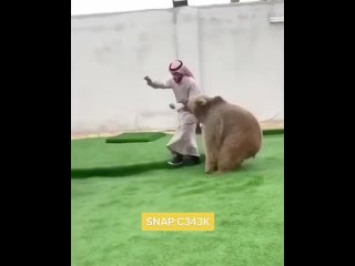 arab pretending to be a bear?