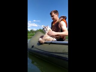 i would pierce the boat instead of the cat