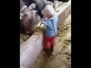 farmer growing up