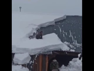 avalanche